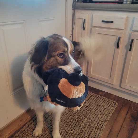 Meet your Posher, M - Picture 5 of 6